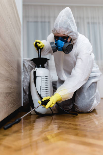 Best Indoor Pest Control  in Eastlawn Gardens, PA